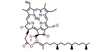 Chlorophyll b'